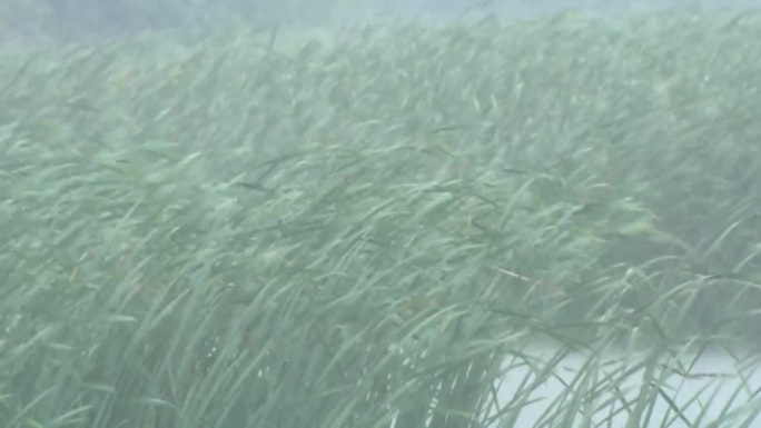 田野台风暴雨