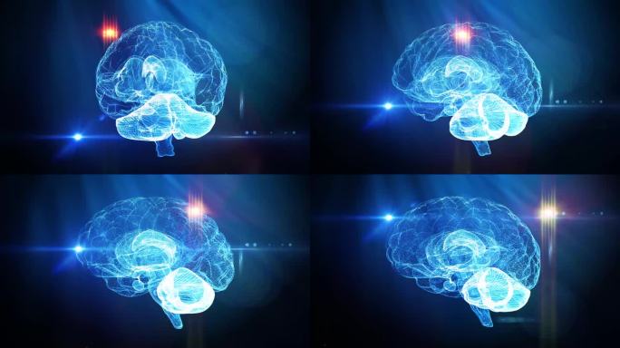 人脑神经网络医学背景