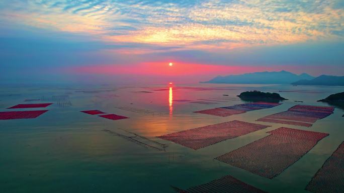 霞浦花竹 海上日出