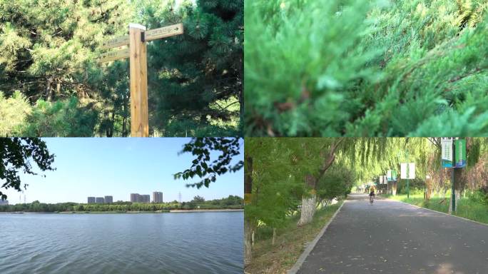 公园风景