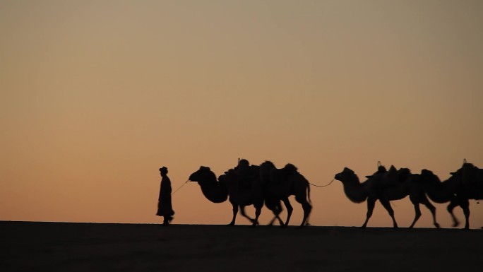 骆驼大篷车剪影在沙漠中间的日落 