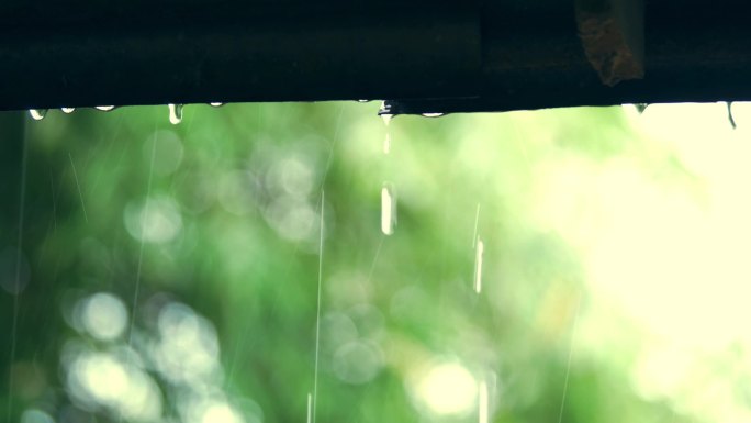 落在屋顶上的雨点和水滴，绿叶绿光闪烁