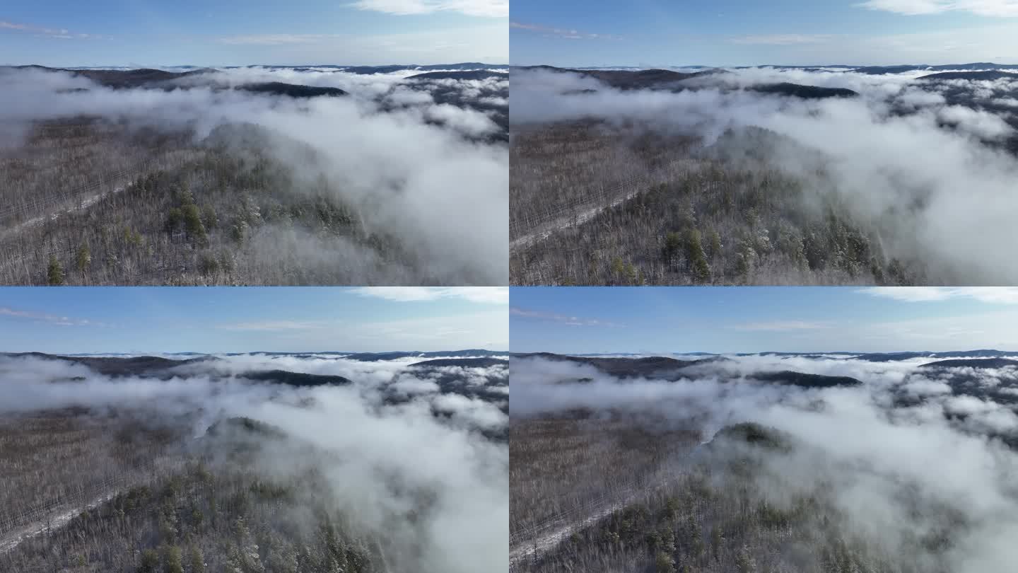 大兴安岭冷春森林雾凇云雾奇观
