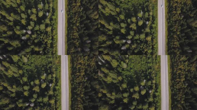 飞越美丽的森林树木和道路。拍摄。鸟瞰。车在山上蜿蜒的道路上。航空相机拍摄。景观全景。空中视图飞越旧修