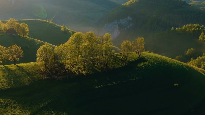 罗马尼亚阿普塞尼山脉农村丘陵上空的鸟图