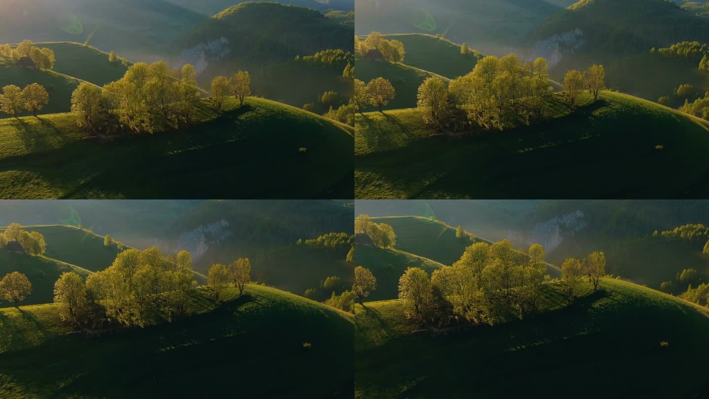 罗马尼亚阿普塞尼山脉农村丘陵上空的鸟图