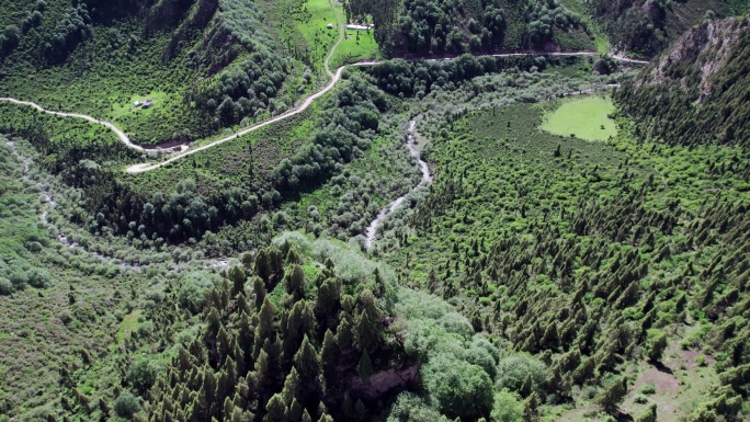 仓家峡 林场 航拍 森林 石山