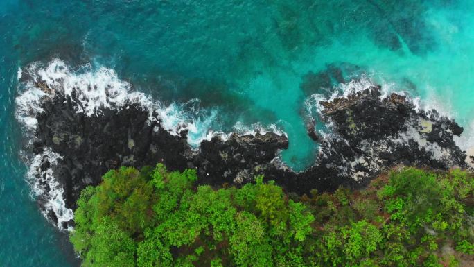 热带岛屿蓝色海洋和黑色岩石的鸟图.