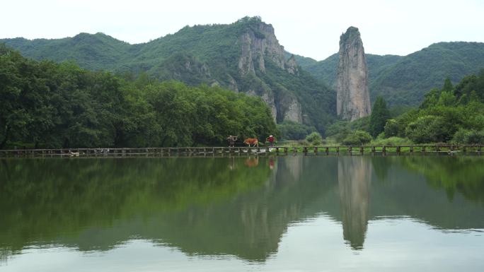 浙江丽水旅游缙云仙都朱潭山农民牵牛景观