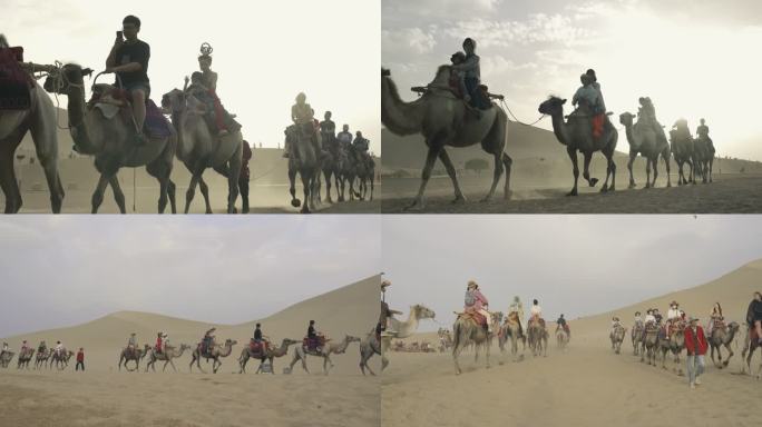 沙漠骆驼  月牙泉骆驼队