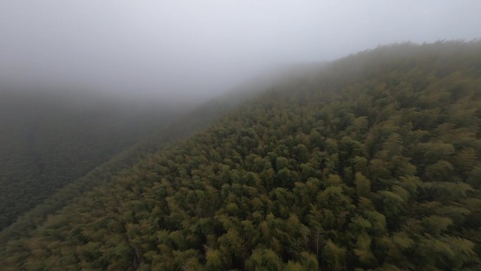 穿越机航拍穿云山脉飞山树林平流雾山脚乡镇