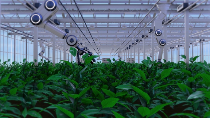 科技智能人工智能大棚蔬菜果蔬农业种植绿色