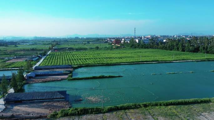 乡下农村，田间地头，农业，农田