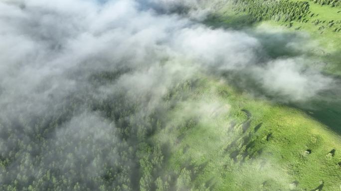 航拍青山森林云雾