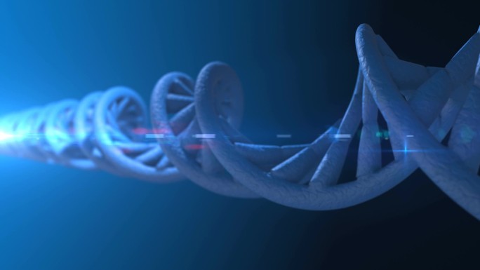 Dna代码摘要 3d 多边形线框 Dna 分子螺旋螺旋。循环动画.