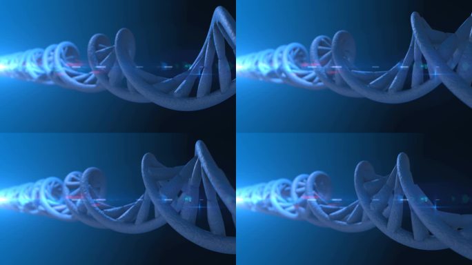 Dna代码摘要 3d 多边形线框 Dna 分子螺旋螺旋。循环动画.