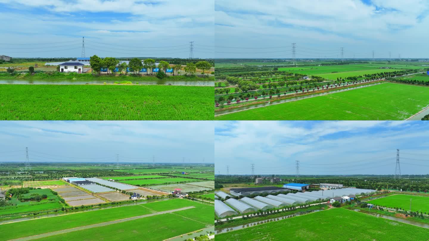4K 现代农业产业园 大棚种植 生态观光