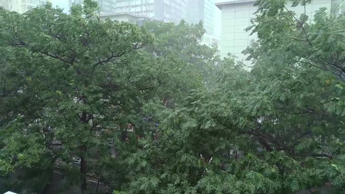 狂风暴雨