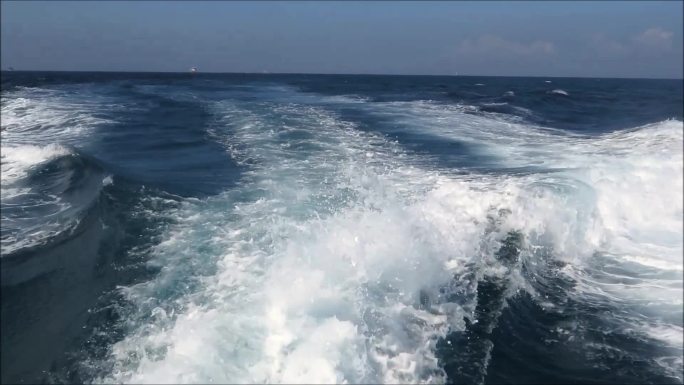 在安达卢西亚直布罗陀海峡，从观看快艇的鲸鱼身上看到的龙水