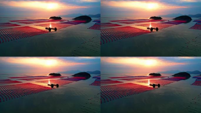 光影里的渔船出海 海上日出