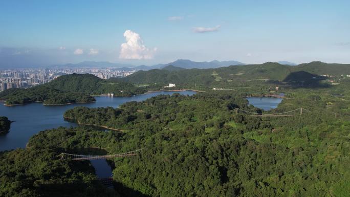 东部华侨城 茶溪谷 三洲茶园