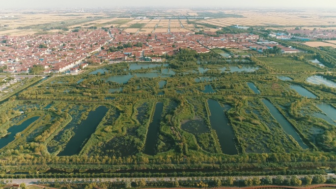 淄博桓台马踏美丽乡村湖区美景