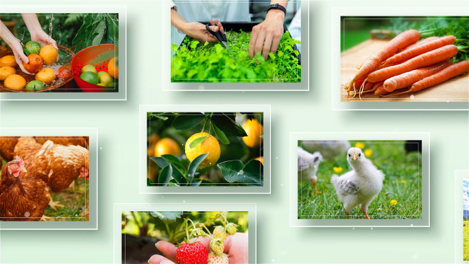 农业农产品图片多图展示包装