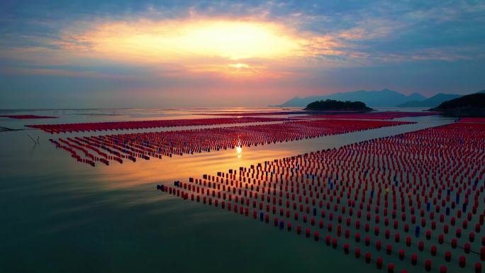 霞浦花竹 海上日出 海上养殖彩色渔排