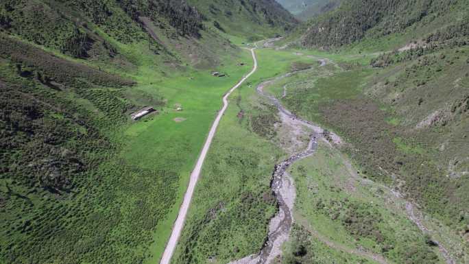 仓家峡 林场 航拍 森林 石山