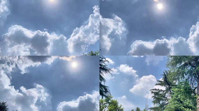 夏天树叶蓝天白云空镜3