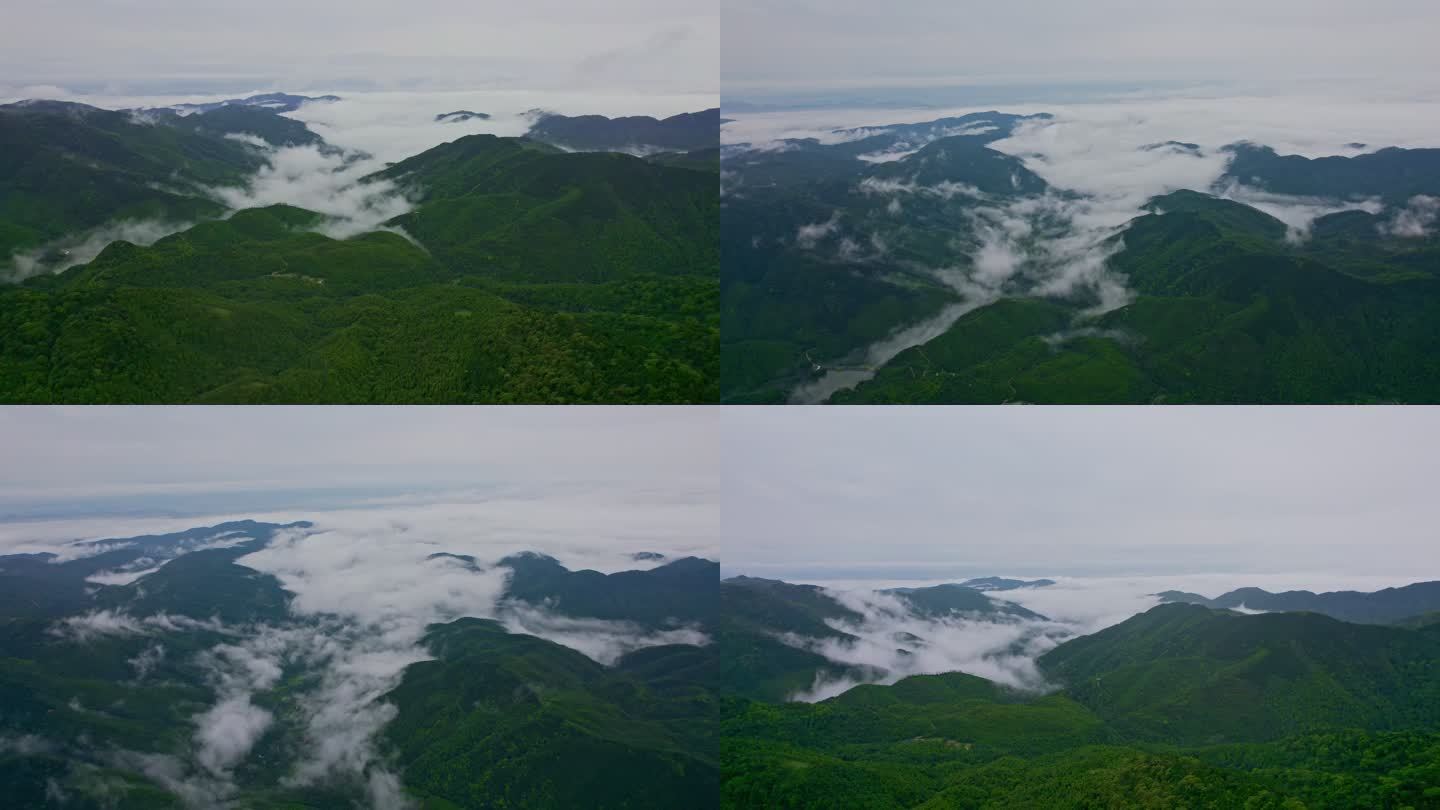 大自然雨后森林云海云雾山河山川高山