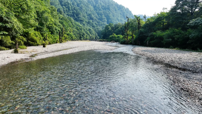 青山绿水原始森林清澈河水自然风景航拍素材