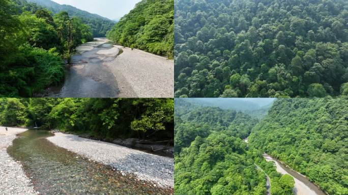 青山绿水原始森林清澈河水自然风景航拍素材