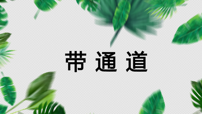 4K热带植物边框转场-带通道