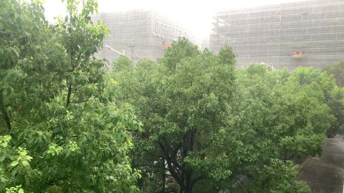 夏季下雨天倾盆大雨雨水实拍视频