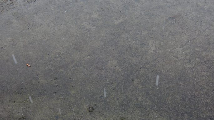 下雨雨水小雨沙沙雨水落在水泥地面上
