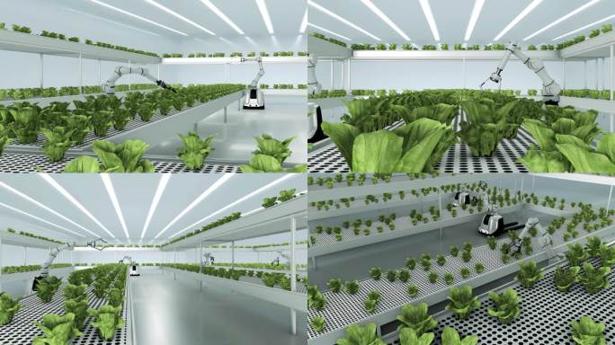 未来智能智慧绿色蔬菜大棚农业种植培育动画