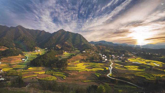 梯田油菜花日落延时