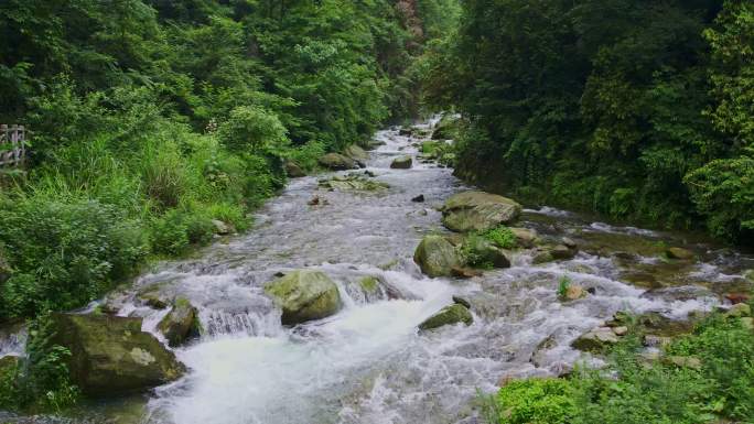 深山溪流小河河流水流