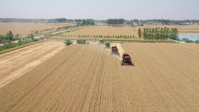 航拍麦收收割机农业大面积麦田