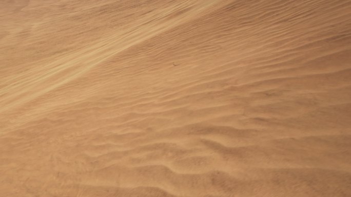 4k沙漠沙滩黄沙穿梭