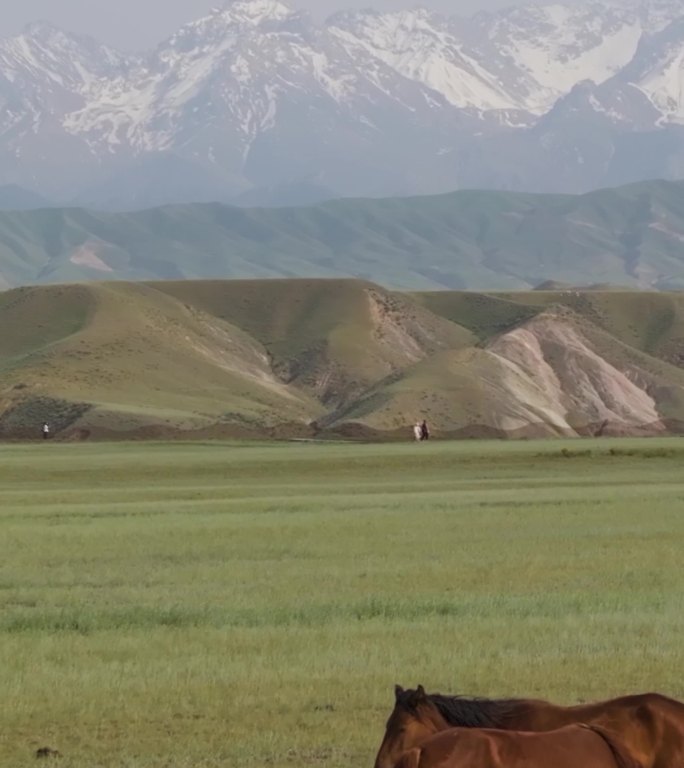 高清竖屏航拍新疆安吉海大峡谷风景