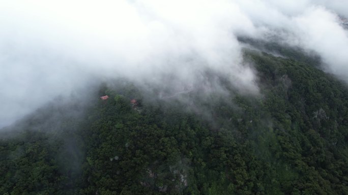 清源山云海