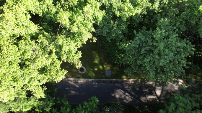 林荫道 林荫路  绿道