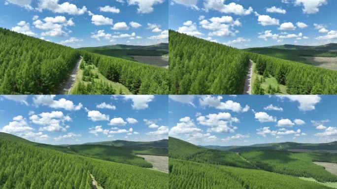 草原天路夏天草原风光航拍绿色