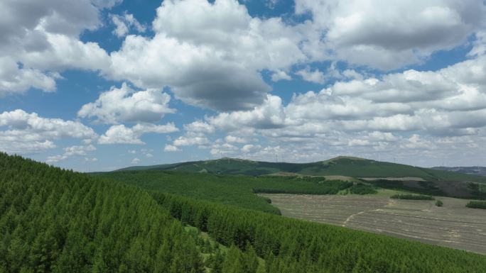 草原天路夏天草原风光航拍绿色