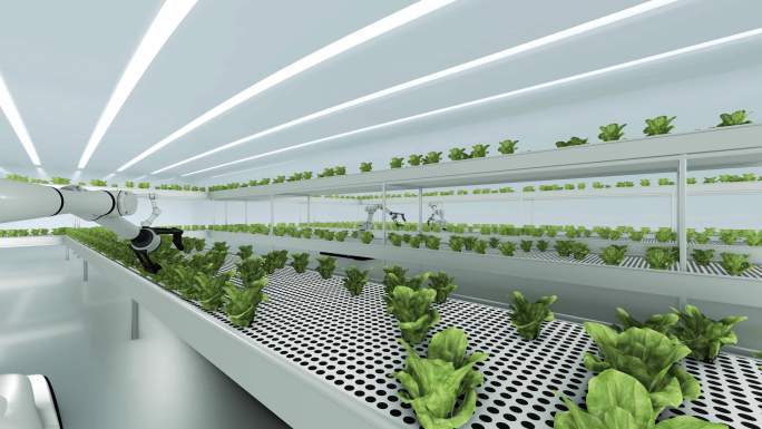 未来智能智慧人工智能绿色农业培育种植大棚