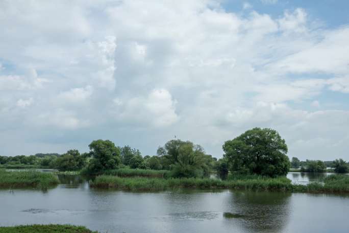 湿地河流辽河七星湿地树水草延时摄影