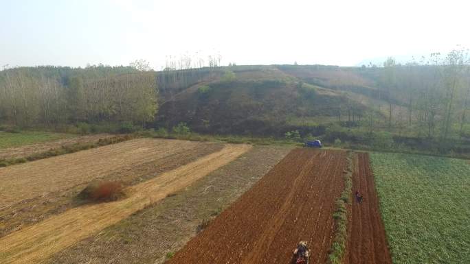 紫薯红薯田地 航拍 田地