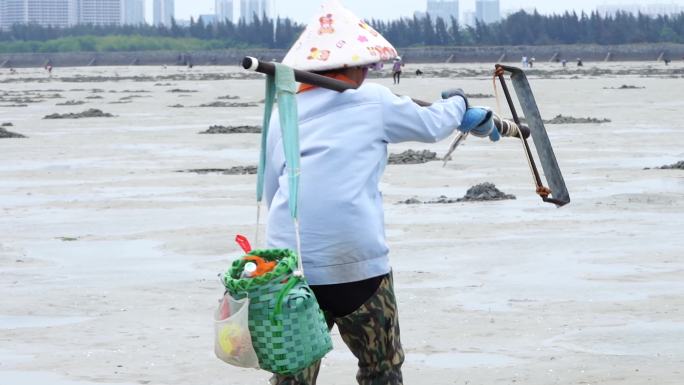 海南 赶海 挖沙虫 捕鱼 渔民